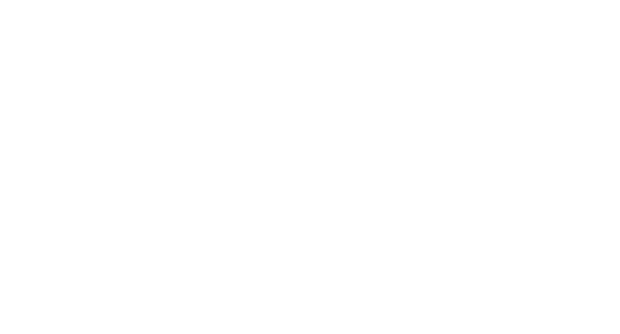 Kampsportstadion - Online Coaching
